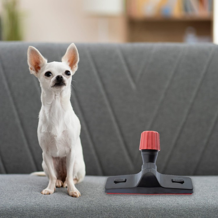 Usuwanie sierści psa i kota z kanapy za pomocą szczotki welurowej do odkurzacza