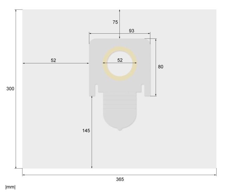Worki do odkurzacza THOMAS AQUA+