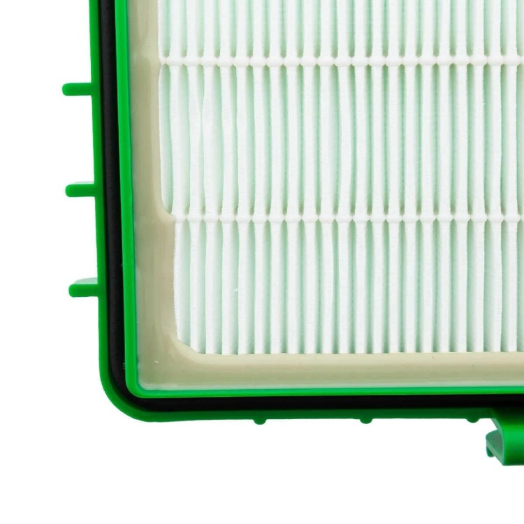 Filtr Hepa do Odkurzacza Rowenta RO 4321